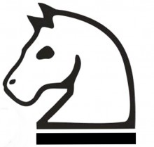 Bavin Inc logo